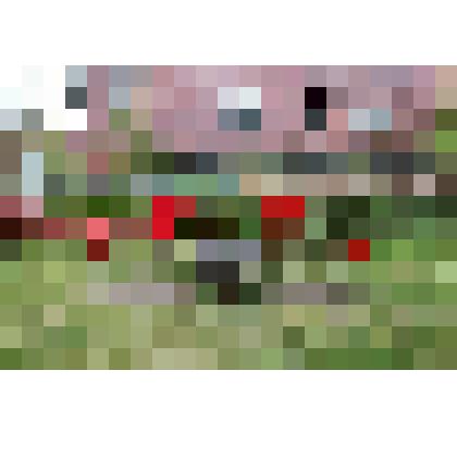 Без названия. Фотография