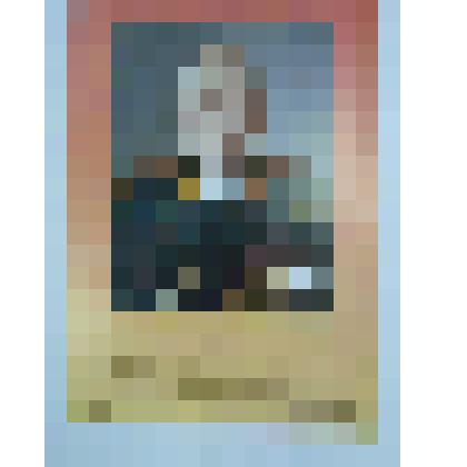 Портретная галерея. Маршал Жуков Г.К