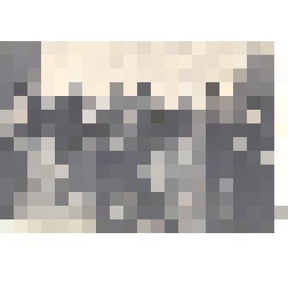 Фотография: народная дружина СМП-302 г.Камня-на-Оби Алтайского края