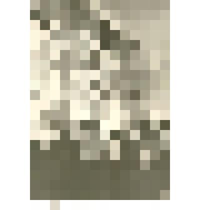 Фотография: на художественной выставке картин художников-земляков в г.Камень-на-Оби Алтайского края