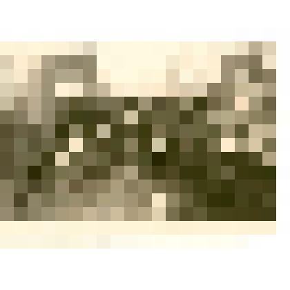 Фотография: коллектив рабочих-женщин Каменской конторы коммунальных предприятий на работе по засыпке траншей с трубами водяного отопления на территории усадьбы Каменского краеведческого музея