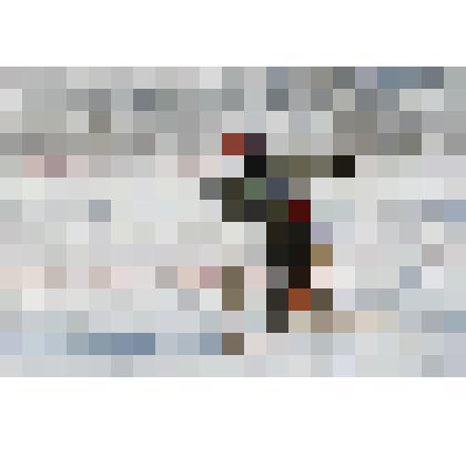 Фотография. Лыжник