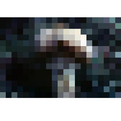 Слайд Сыроежка