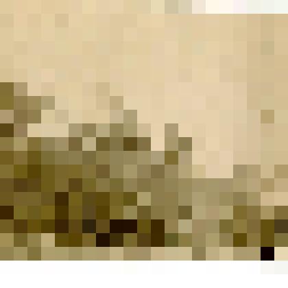 Фотография. Чумы