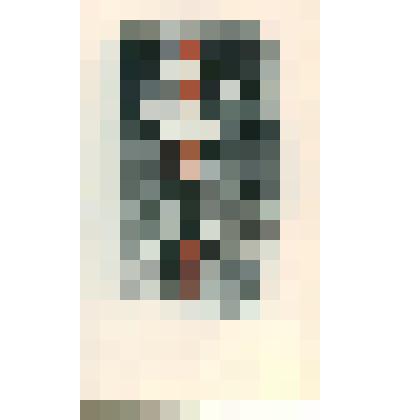 Экслибрис Аксель Ляйер. Конгресс Веймар