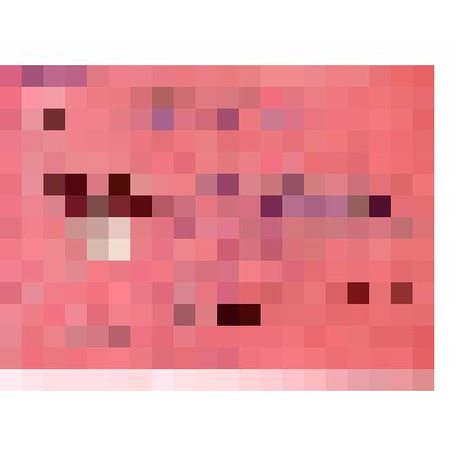 Удостоверение Этезова Домаша Масхутовича