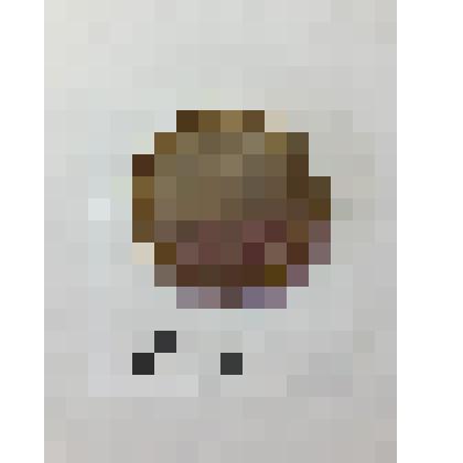 Монета 10 рублей, Россия 2007 год. РФ "Новосибирская область"