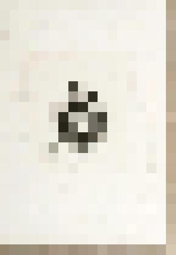 Портрет С.О. Бородаевского (1839 - 1890). Портрет-заметка С.Н. Бородаевской