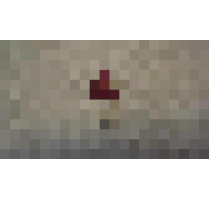 Значок Гриб Мухомор