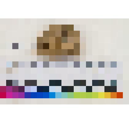 Игрушки белоглиняной погремушки дисковидной с неясными следами росписи красным ангобом фрагмент