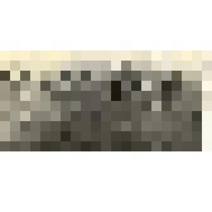 Фотография: уборка урожая в подсобном хозяйстве Каменской жилкооперации