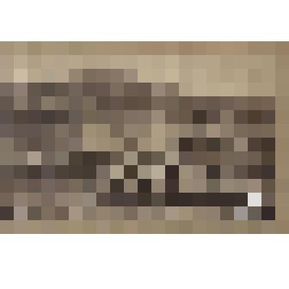 Фотография. Прииск Асташева (Южная тайга)