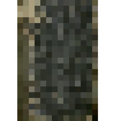 Книга"Париж. Статья из энциклопедии"