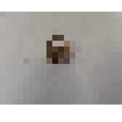 Общевойсковая петлица