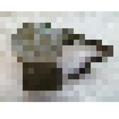 Противогаз, надеваемый на голову и лицо для защиты от отравляющих газов и дыма