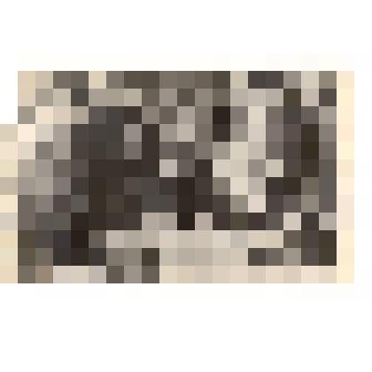 Фотография. Младший лейтенант  В.В.Шашкин получает боевое задание перед вылетом