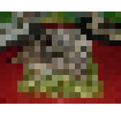 Чучело еж обыкновенный