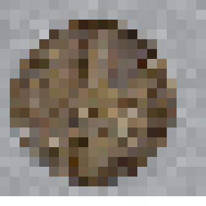 Монета СССР 1 копейка