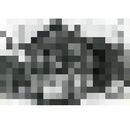 Фотография. Дом Шипкиных, деревня Садовники Ленинского р-на Московской обл