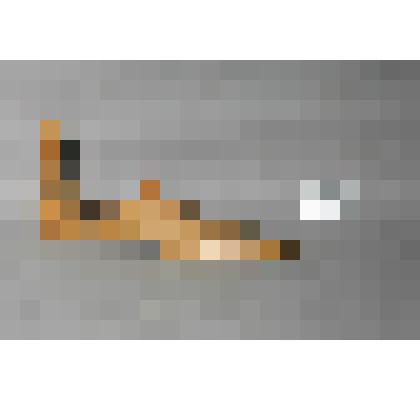 Колодка для обуви