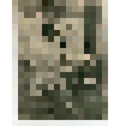 Фотография. Павел Семенович Жуков во время зарисовок (на этюдах)