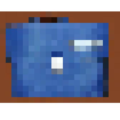 Портфель переписчика Всероссийской переписи населения 2010 г