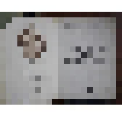 Билет партийный