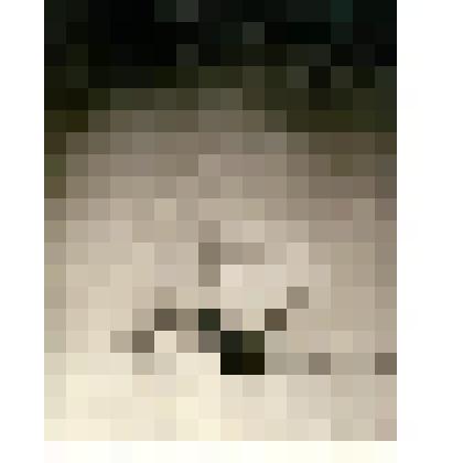 Фотография. Яхта «Заря» Русской полярной экспедиции