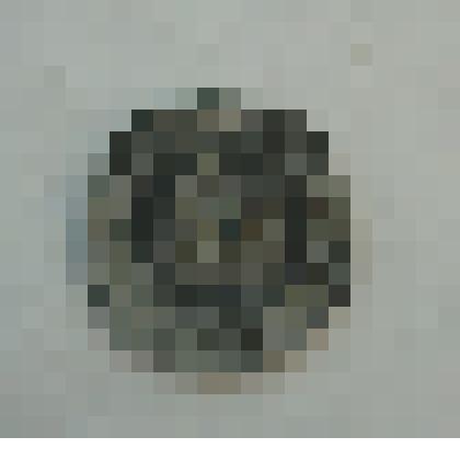 Монета "5 лей"