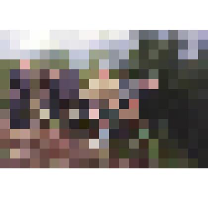 Фотография  цветная. Работники лесхоза "на природе"