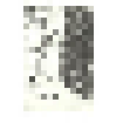 Экслибрис «Книга». 1914