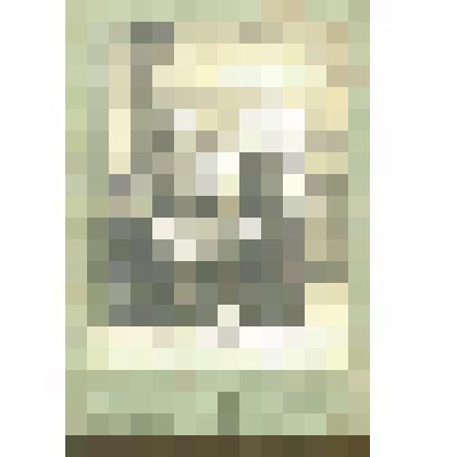 Семейный фотопортрет. Изображение молодой супружеской пары с ребенком в фотопавильоне Г.Нилова. Новый Петергоф