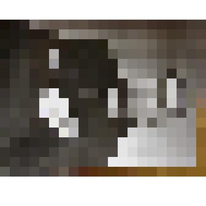 Фотография ветерана 87 Краснознамённой Перекопской стрелковой дивизии Проценко И.Т