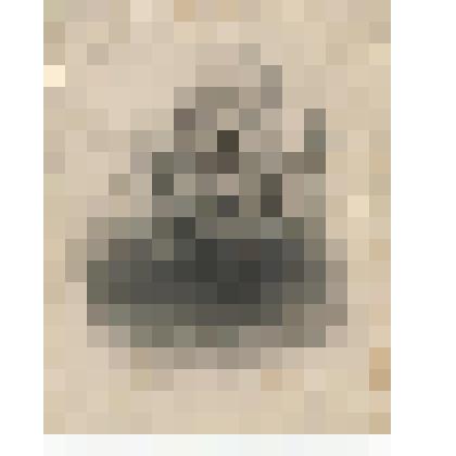 Фотография. Рагозкина Прасковья Николаевна