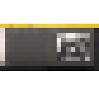 Л.Н. Толстой среди крестьян в гостях у Чертковых. Во дворе дома