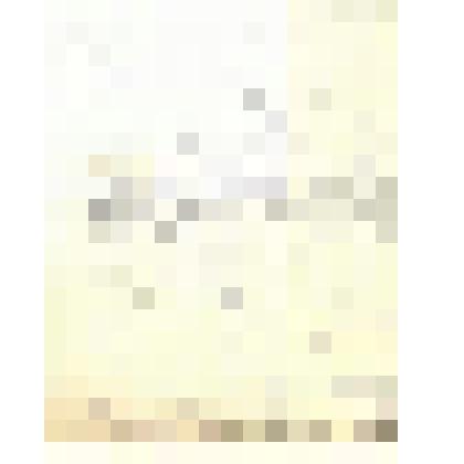 Документ. Справка Товарища Министра Внутренних Дел Дурново П. Министру Внутренних Дел Плеве В.К. о выдаче денежных пособий лицам: Рункевичу, Хреновскому, Лисовскому, Фомину, Нагорскому