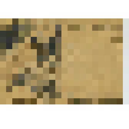 Карточка почтовая "Хорошие вести с фронта!"