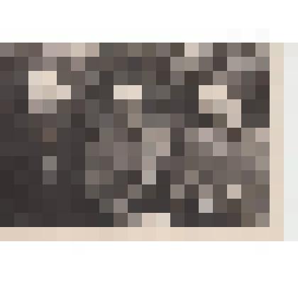 портрет групповой братьев Синегуб: Василий Георгиевич, Данила Георгиевич, Александр Георгиевич