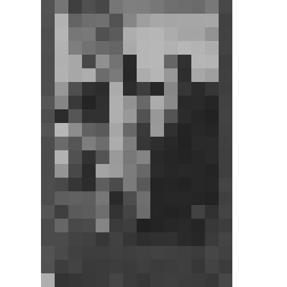 Фотография на паспарту