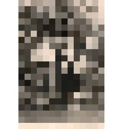 Фотография. Дети в детском саду