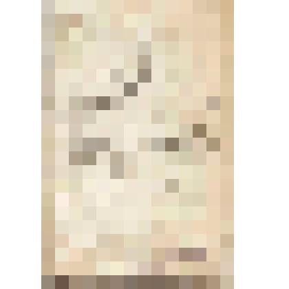 Книжка расчетная №5 выдана рабочему Ефиму Родионову Ильиных из конторы Чердынского первой гильдии купца Василия Николаевича Алина, 01.10.1896 г