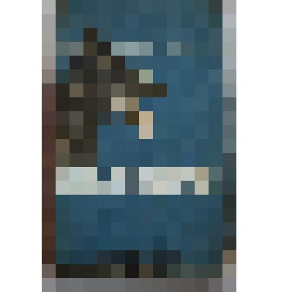 Книга. Собаководство. Свердловская типография Огиза РСФСР треста "Полиграфкнига"