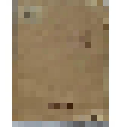 Книга. Как предупредить желудочно-кишечные заболевания у лошади.  1-я типография Государств. военного изд-ва НКО ССР