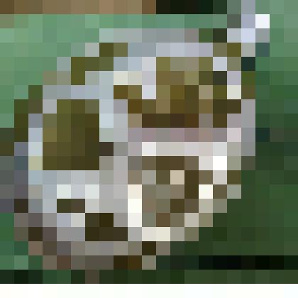 Фляга солдатская