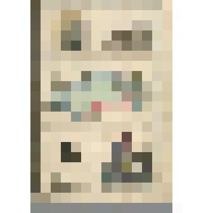 Эстляндская губерния