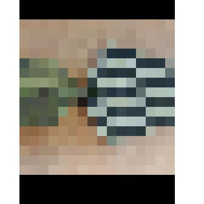 Медаль "За Победу над Германией в ВОВ 1941-1945 г."  Игнатьева Ю.И