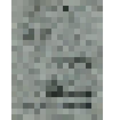 Билет членский