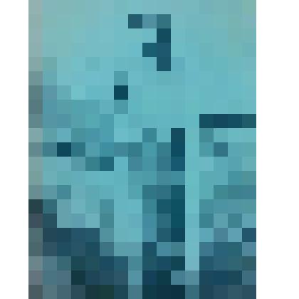 Фотография Чернова Георгия Александровича, Тиман