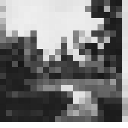 Фотография. Дендропарк в Свердловске