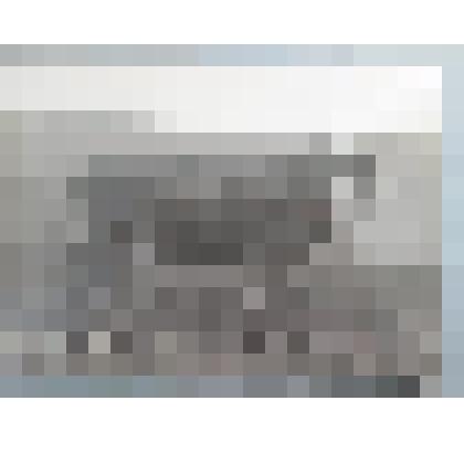 Фотография.  "Жучек"